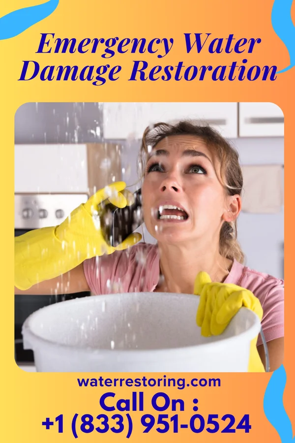 Emergency Water Damage Restoration in Bayou La Batre, AL